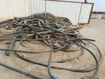 WhatsApp Image 2026-01-27 at 4.16.17 PM (1)