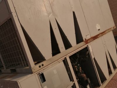 WhatsApp Image 2026-01-27 at 4.20.29 PM (3)