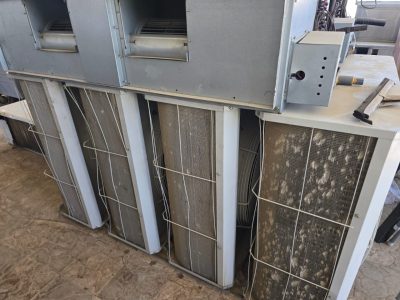 WhatsApp Image 2026-01-27 at 5.04.58 PM (3)